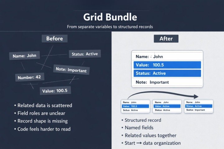 Comparison of 'Before' and 'After' states of data organization using a grid bundle.